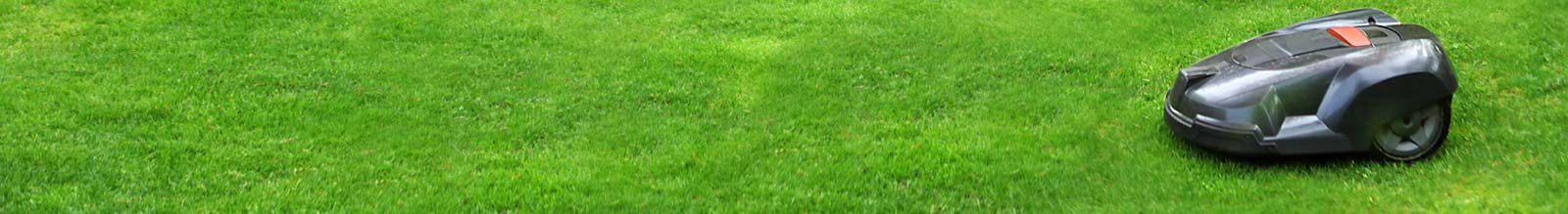 Mähroboter für den perfekten Rasen