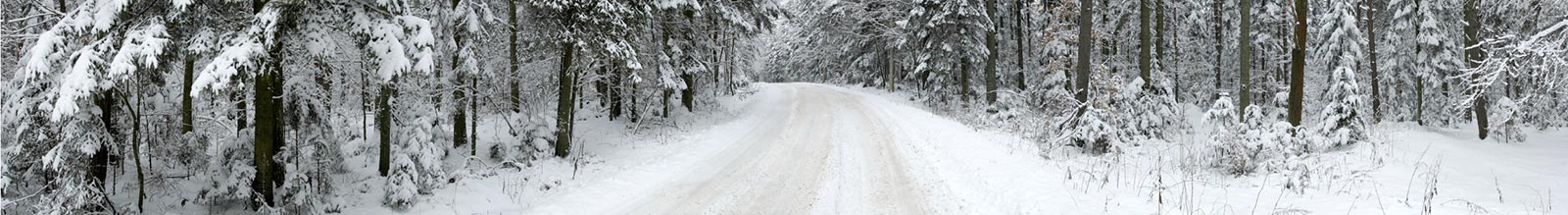 Schneefräsen und Motorgeräte für den Winter